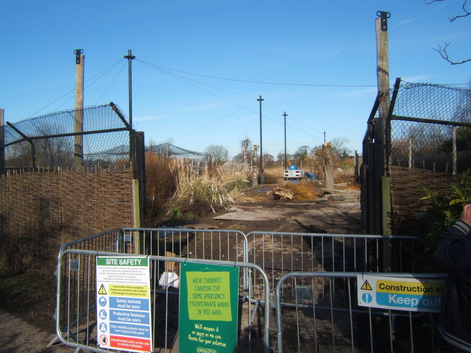 View of work an African Wet Lands Aviary