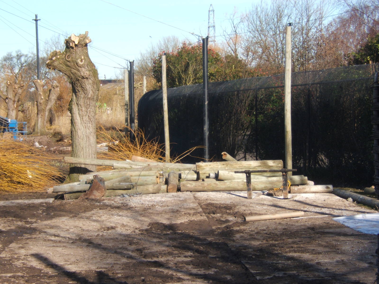 View of work an African Wet Lands Aviary