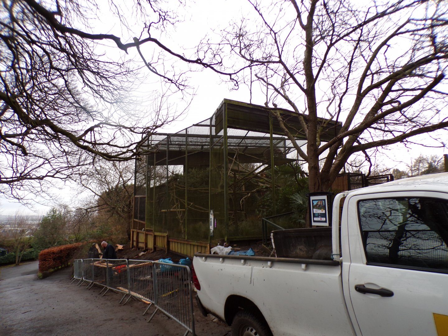 View of work being done on former Egyptian vulture aviary 9.12.23