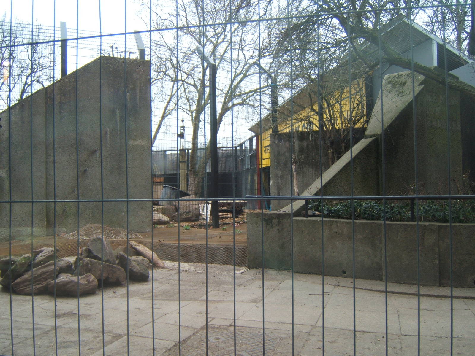 View of work for new Asian Lion enclosure