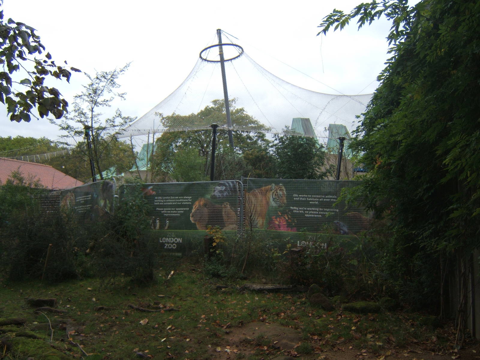 View of work for new Tiger exhibit