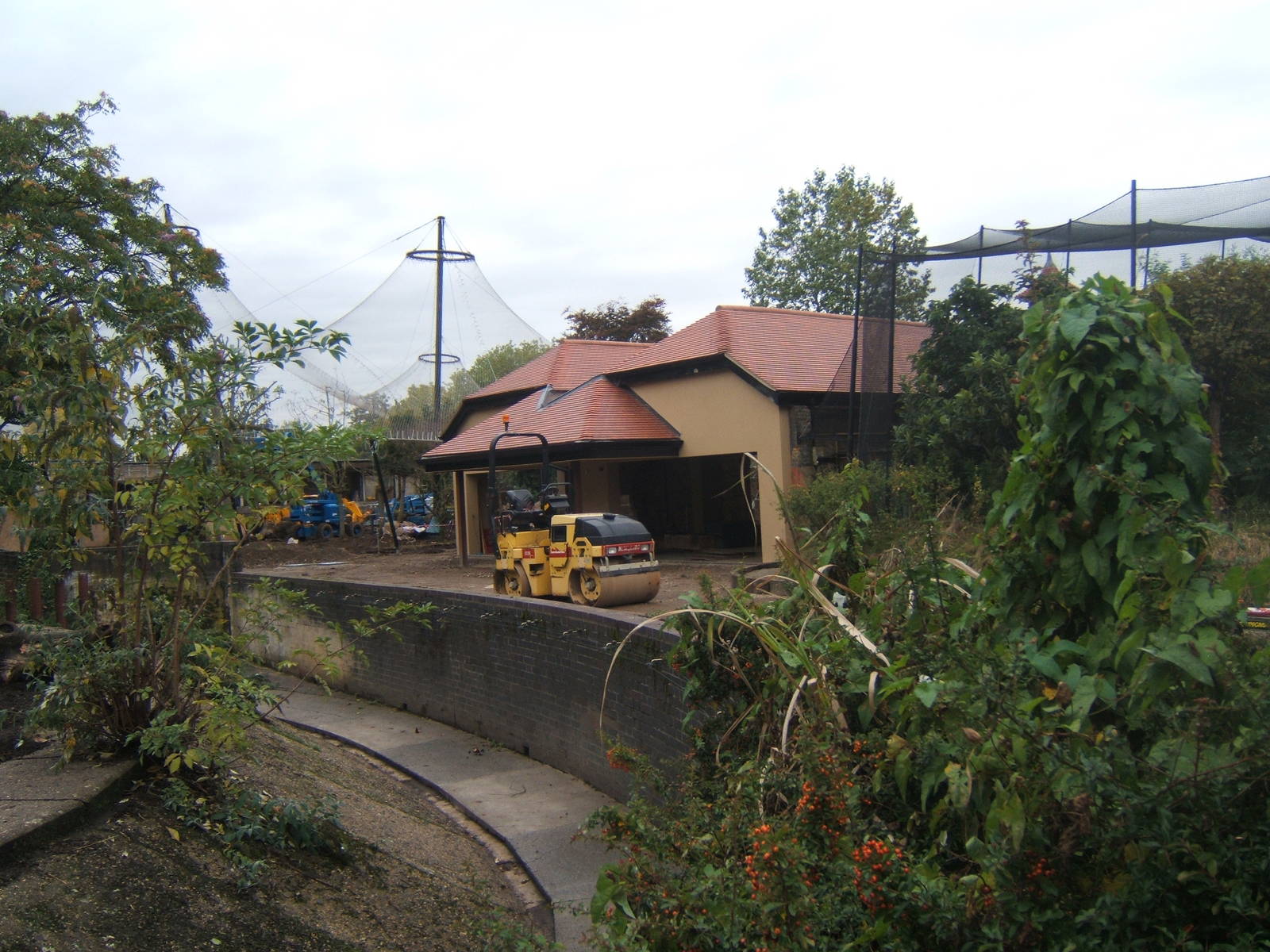 View of work for new Tiger exhibit