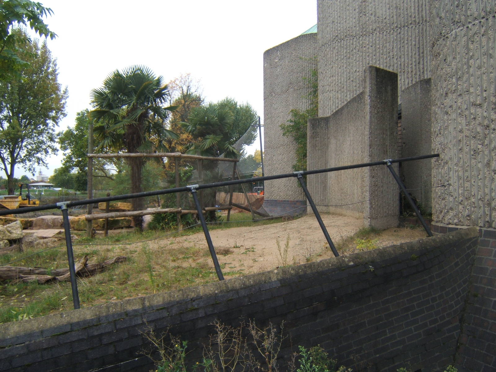 View of work for new Tiger exhibit