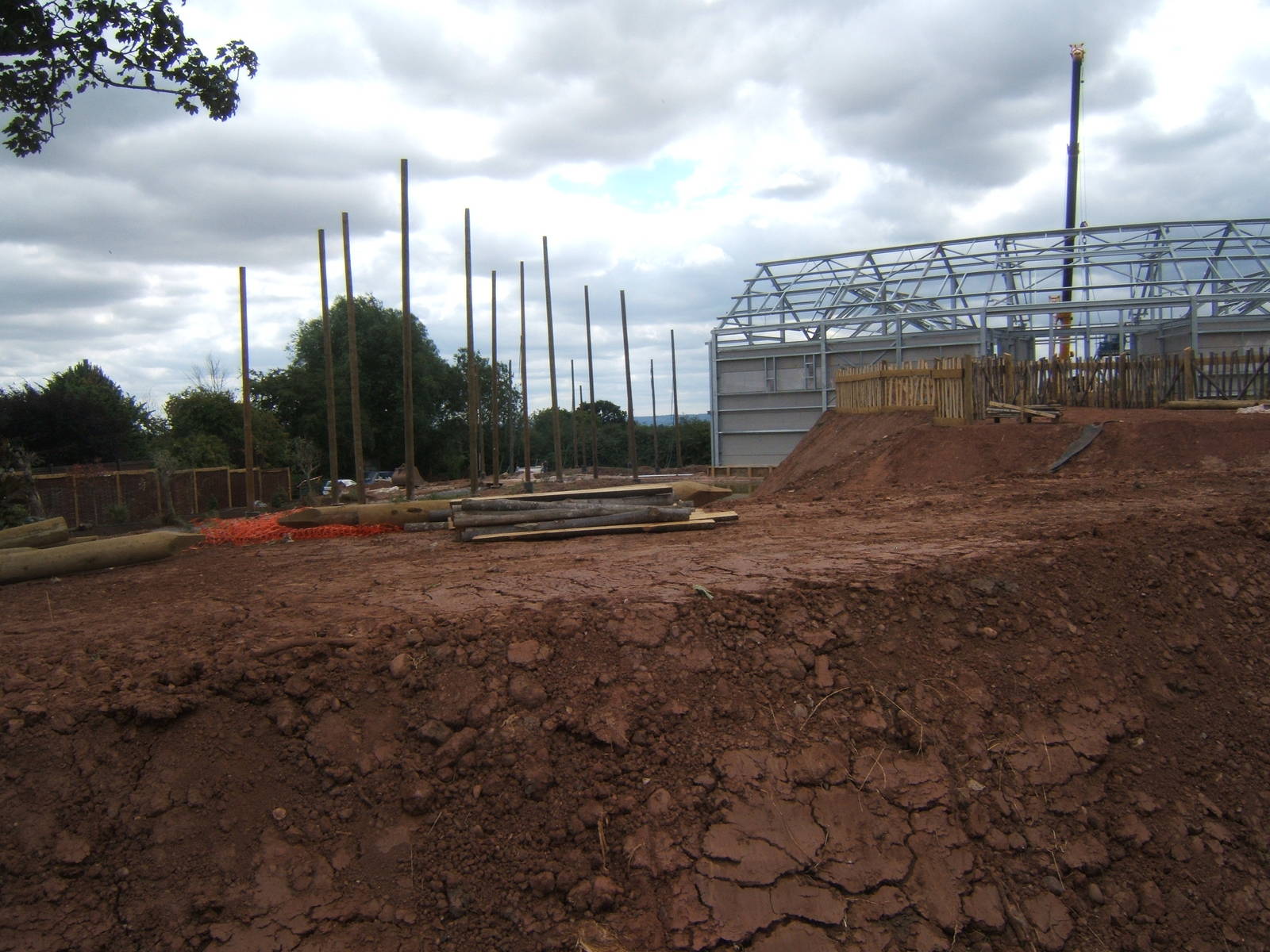 View of work on new Gibbon complex