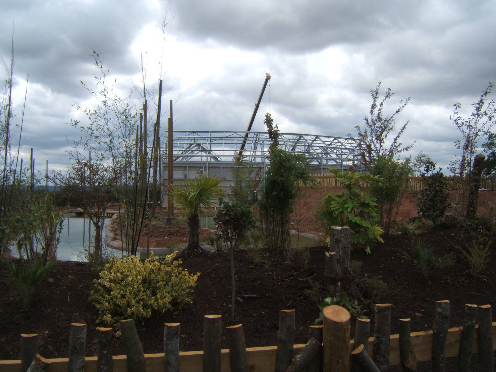 View of work on new Gibbon complex