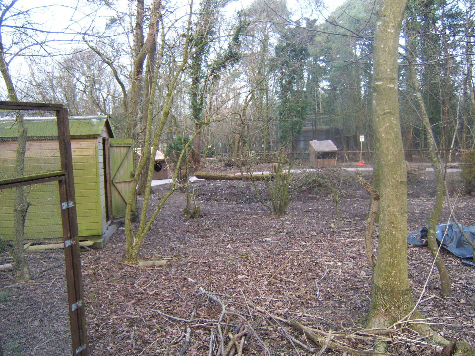 View of work on new outdoor classroom