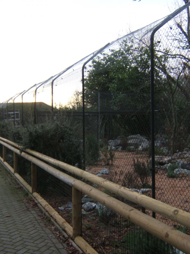 View of work on old Cheetah enclosure