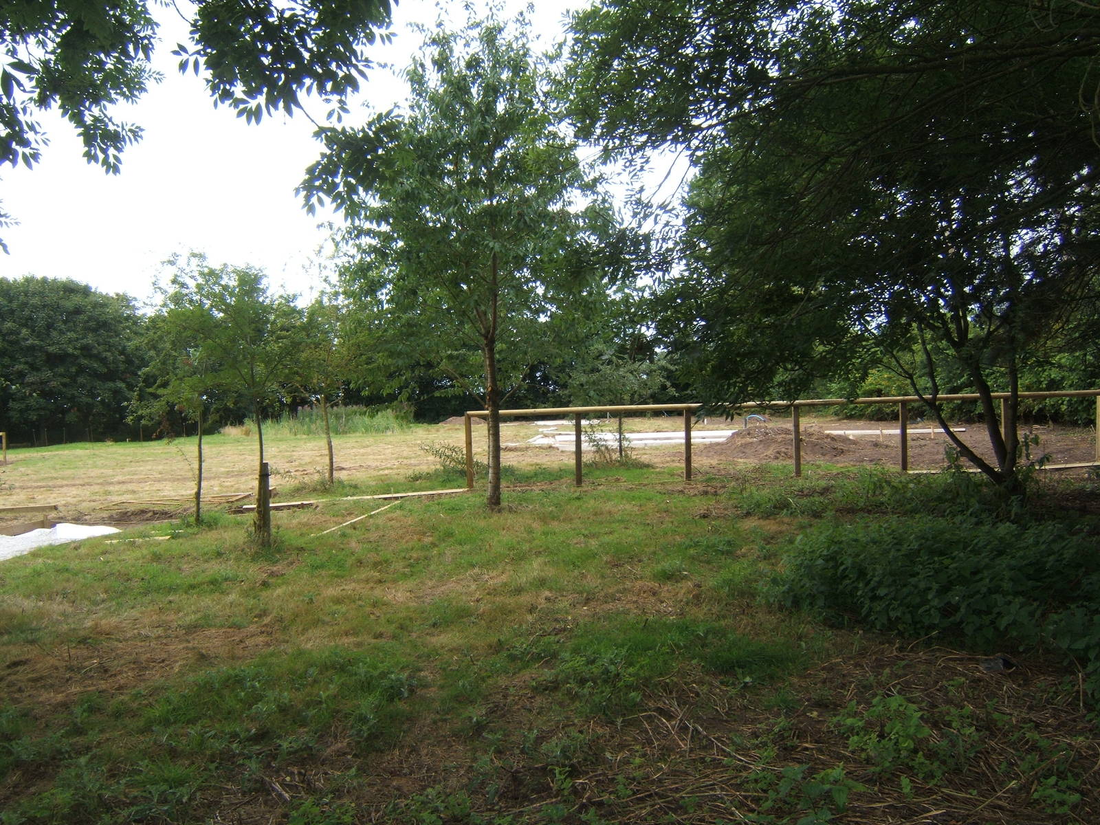 View of work on the new extension