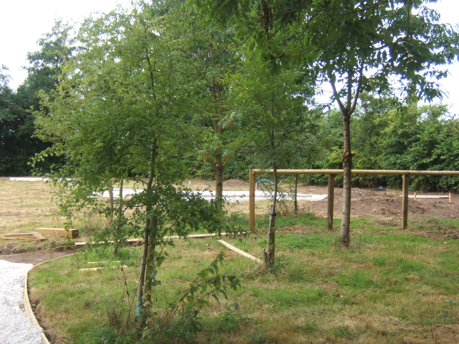 View of work on the new extension