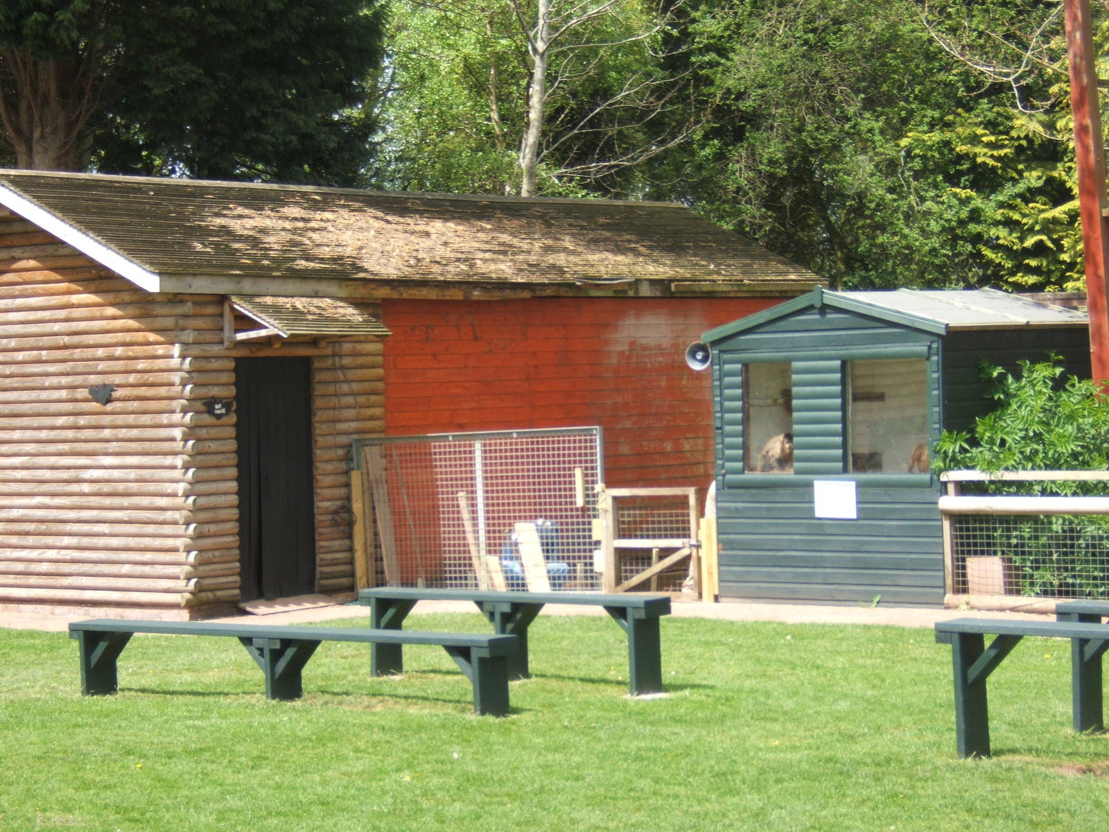 View of work on the new Meerkat enclosure