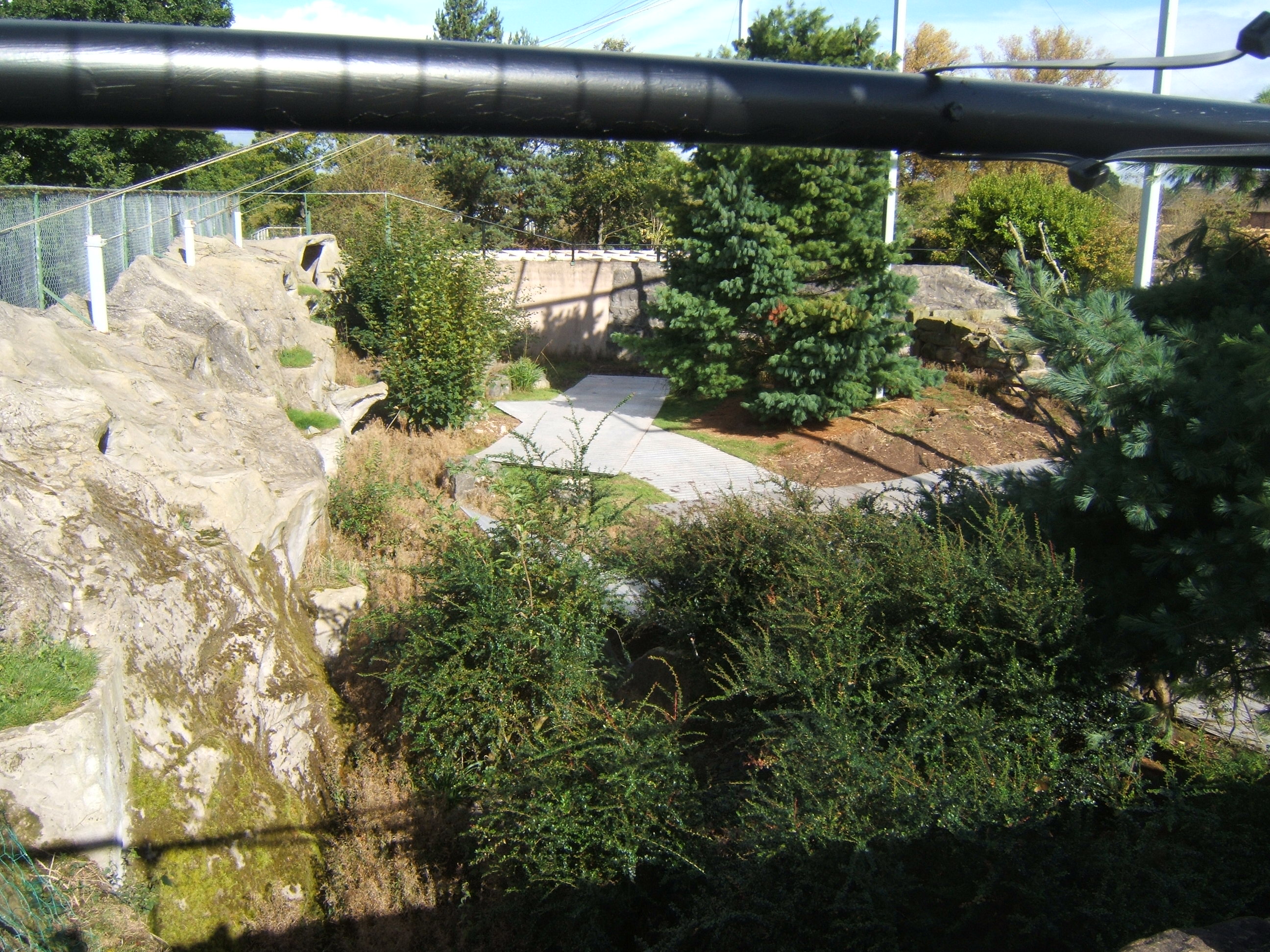 View of work on the old Condor aviary