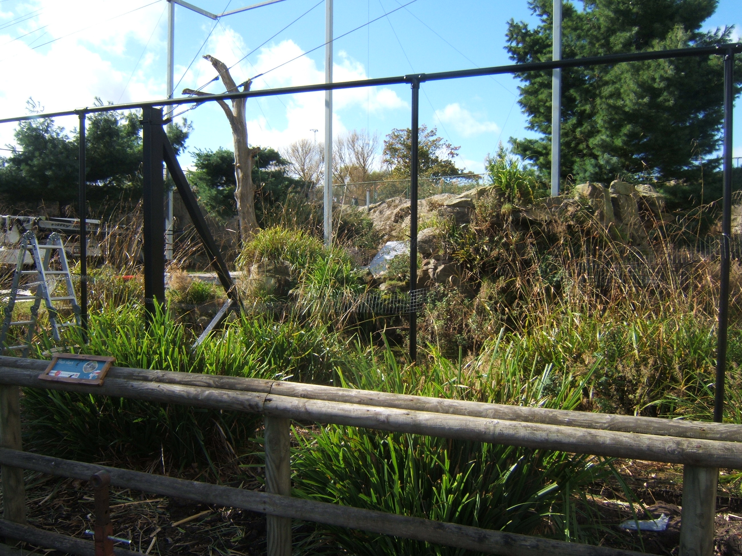 View of work on the old Condor aviary