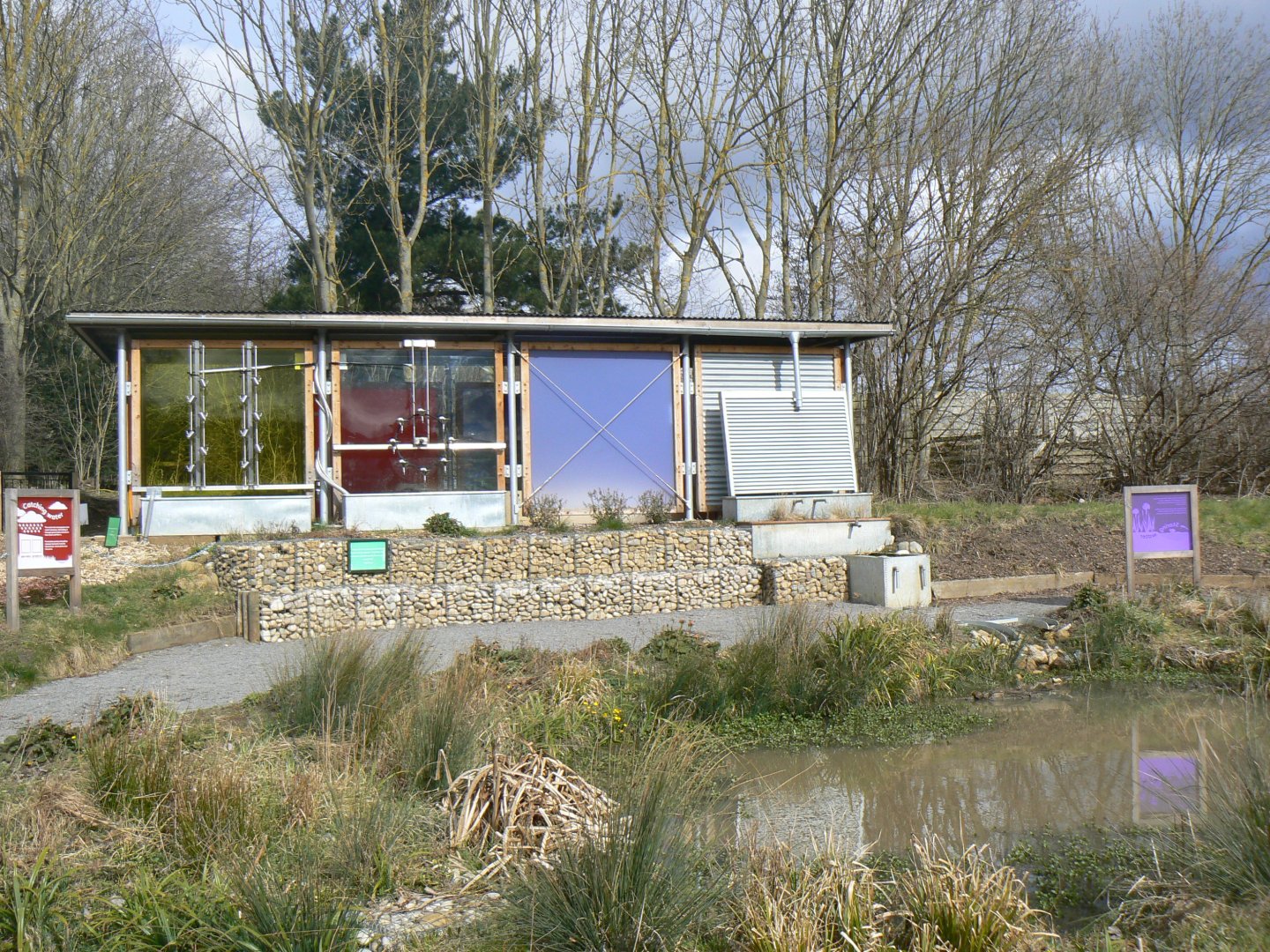 View of Working Wetland Garden - 28 March 2018