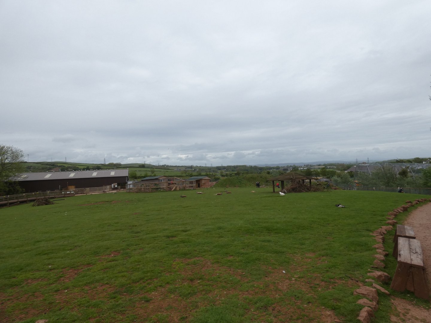 View of 'World Wide Safari'