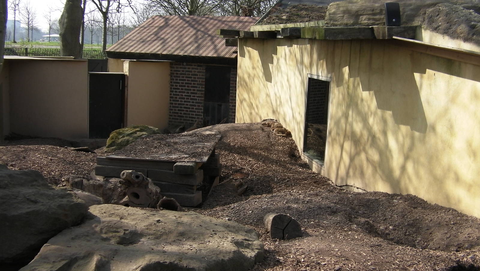 View of Yellow Mongoose Enclosure - 24.03.2012