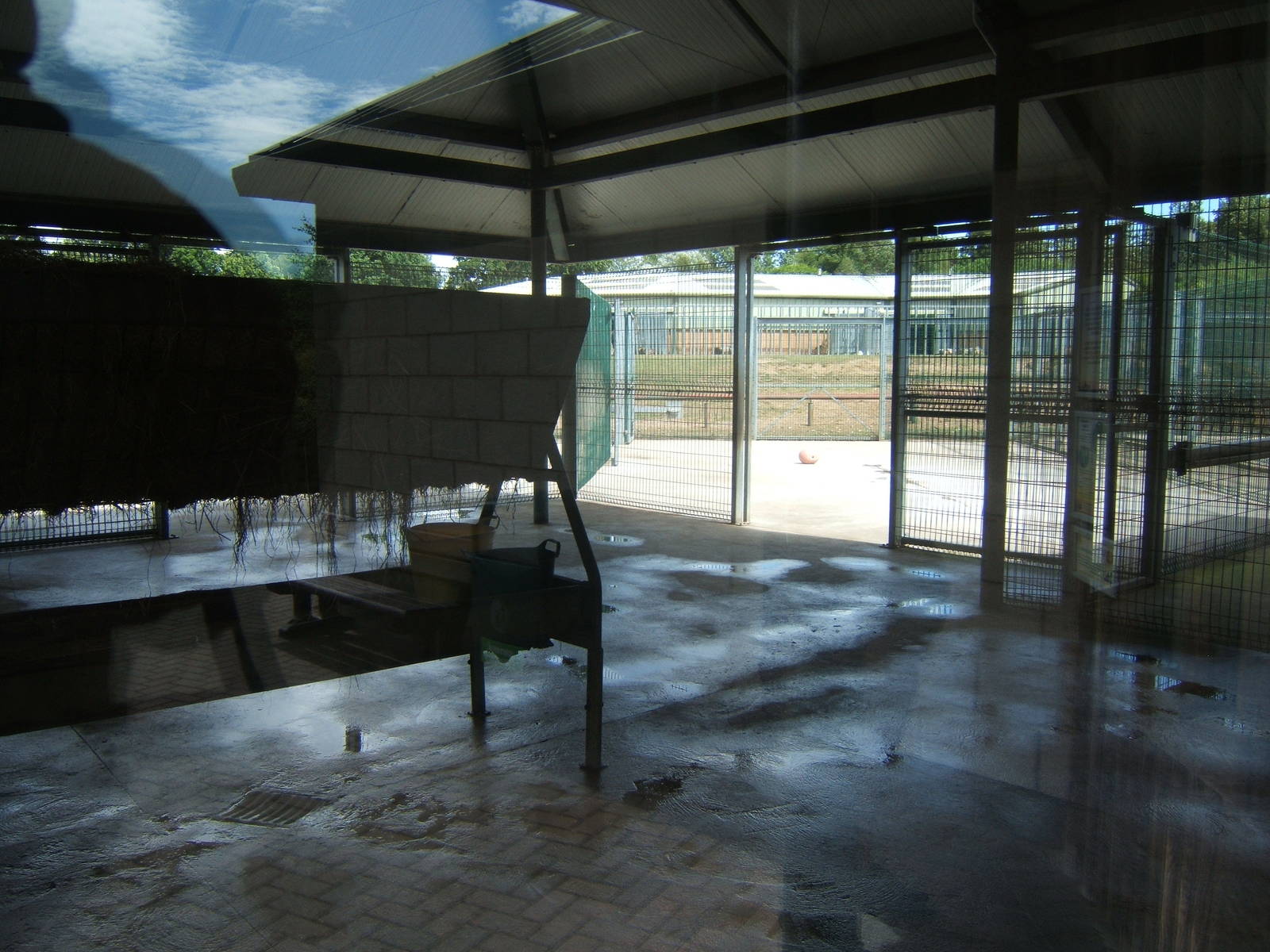 View of Zebra stalls