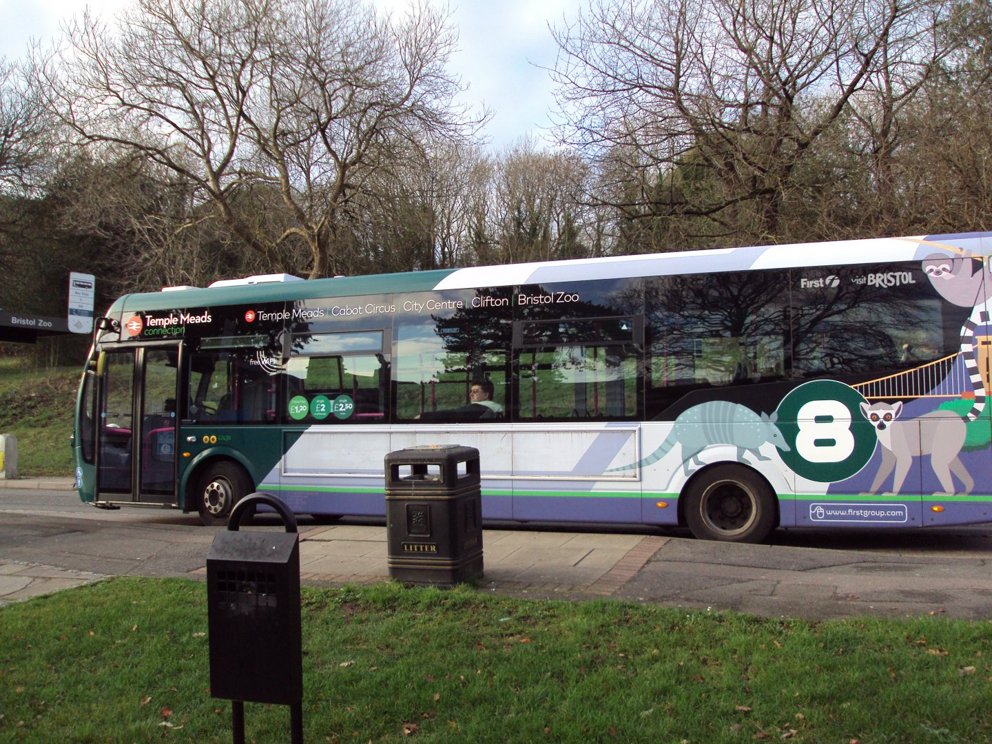 View of zoo liveried Bus pulling into the bus stop 27/12/2018