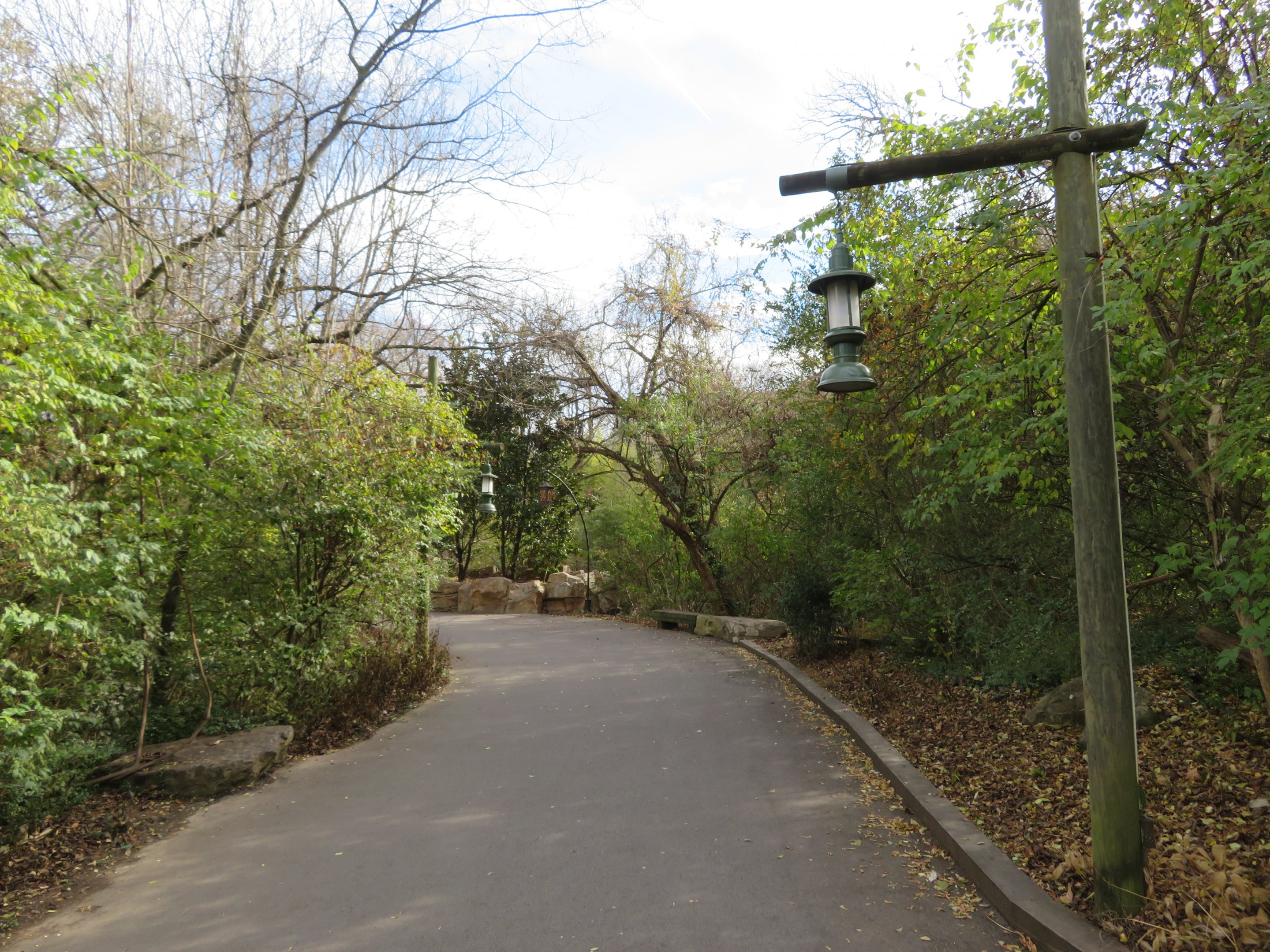 View of Zoo Path