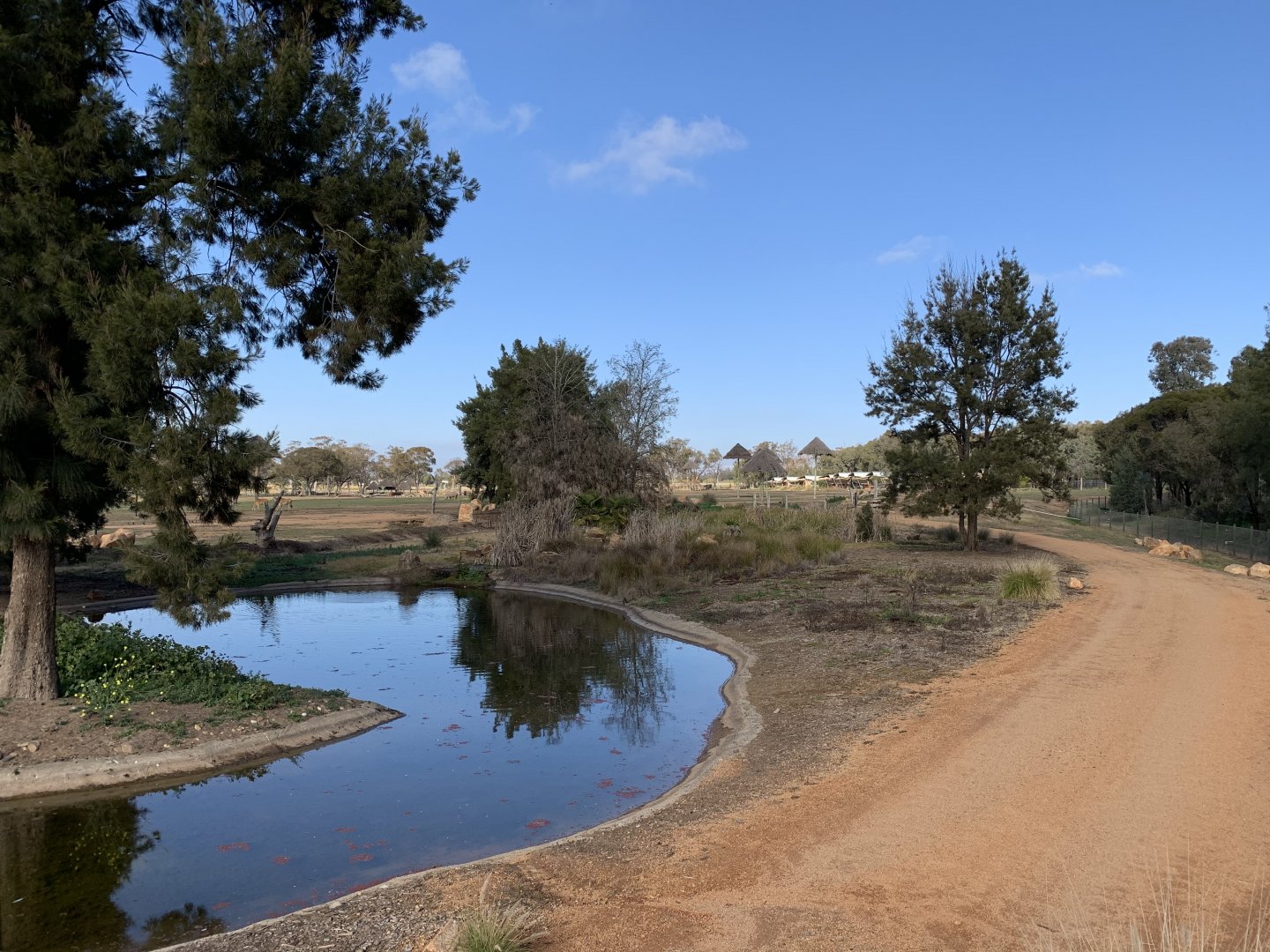 View of Zoofari Lodge