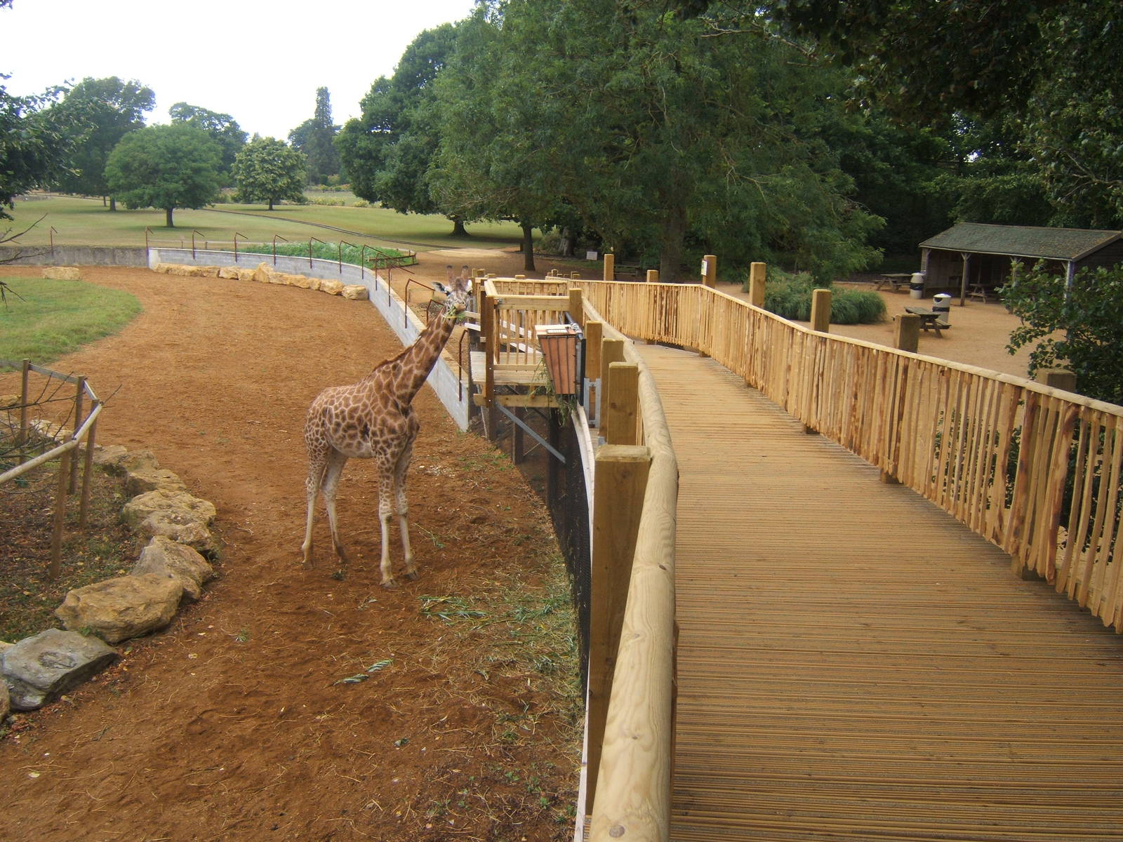 View off ramp up to Giraffe House