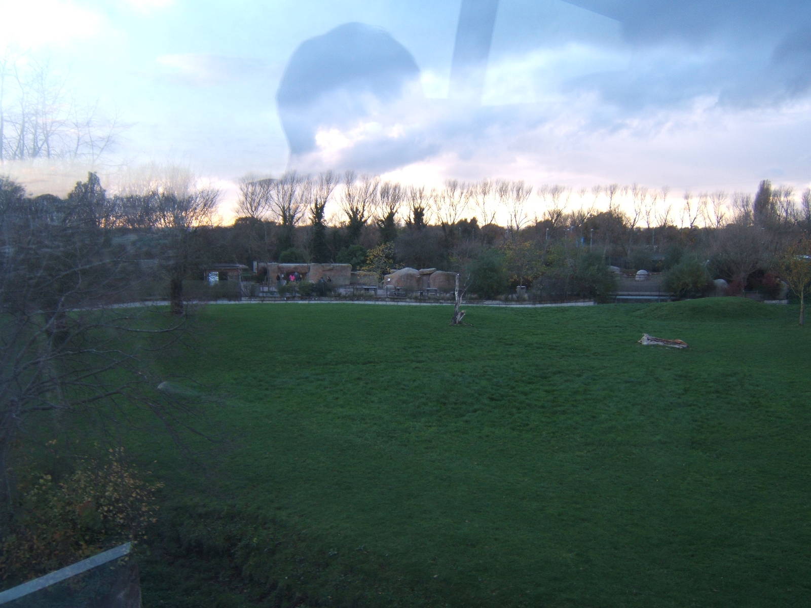 View off the monorail towards the Aardvarks