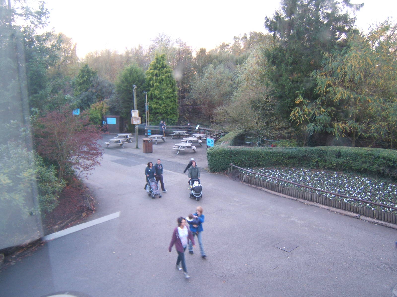 View off the monorail towards the canal boat jetty