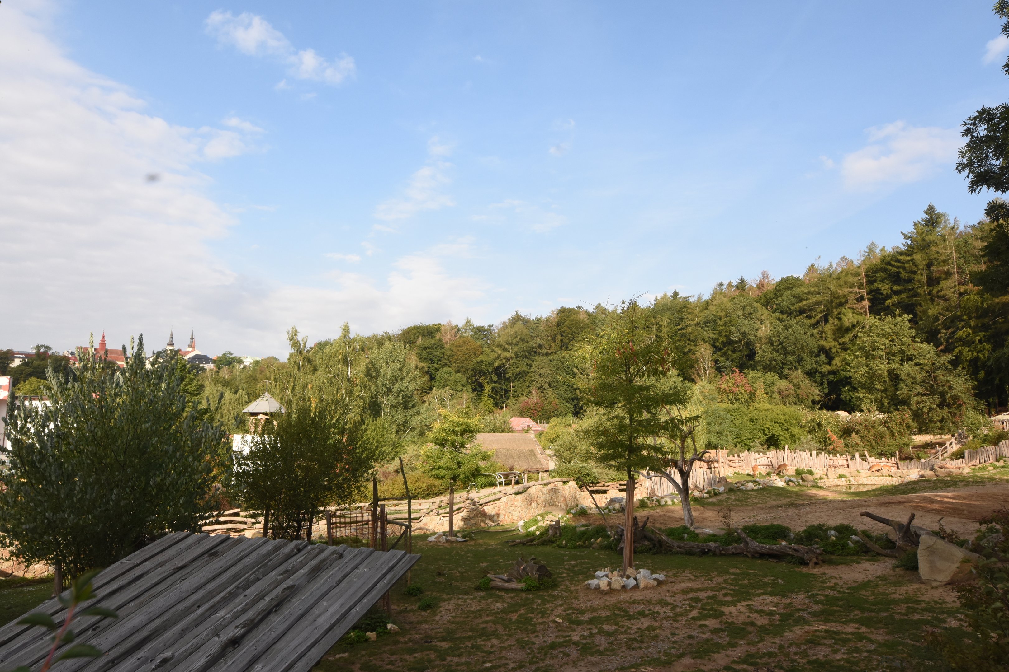 View on African savannah