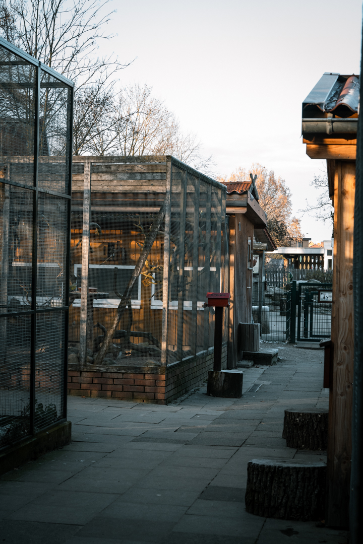View on Australia aviary