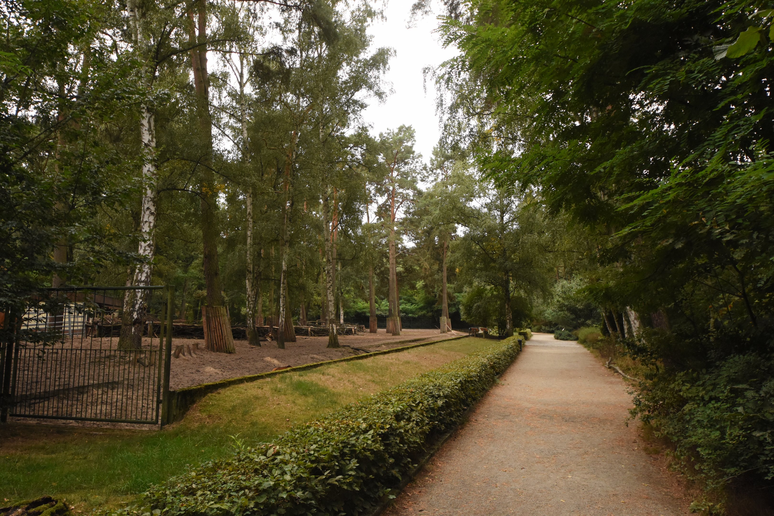 View on Banteng and Axis deer enclosure