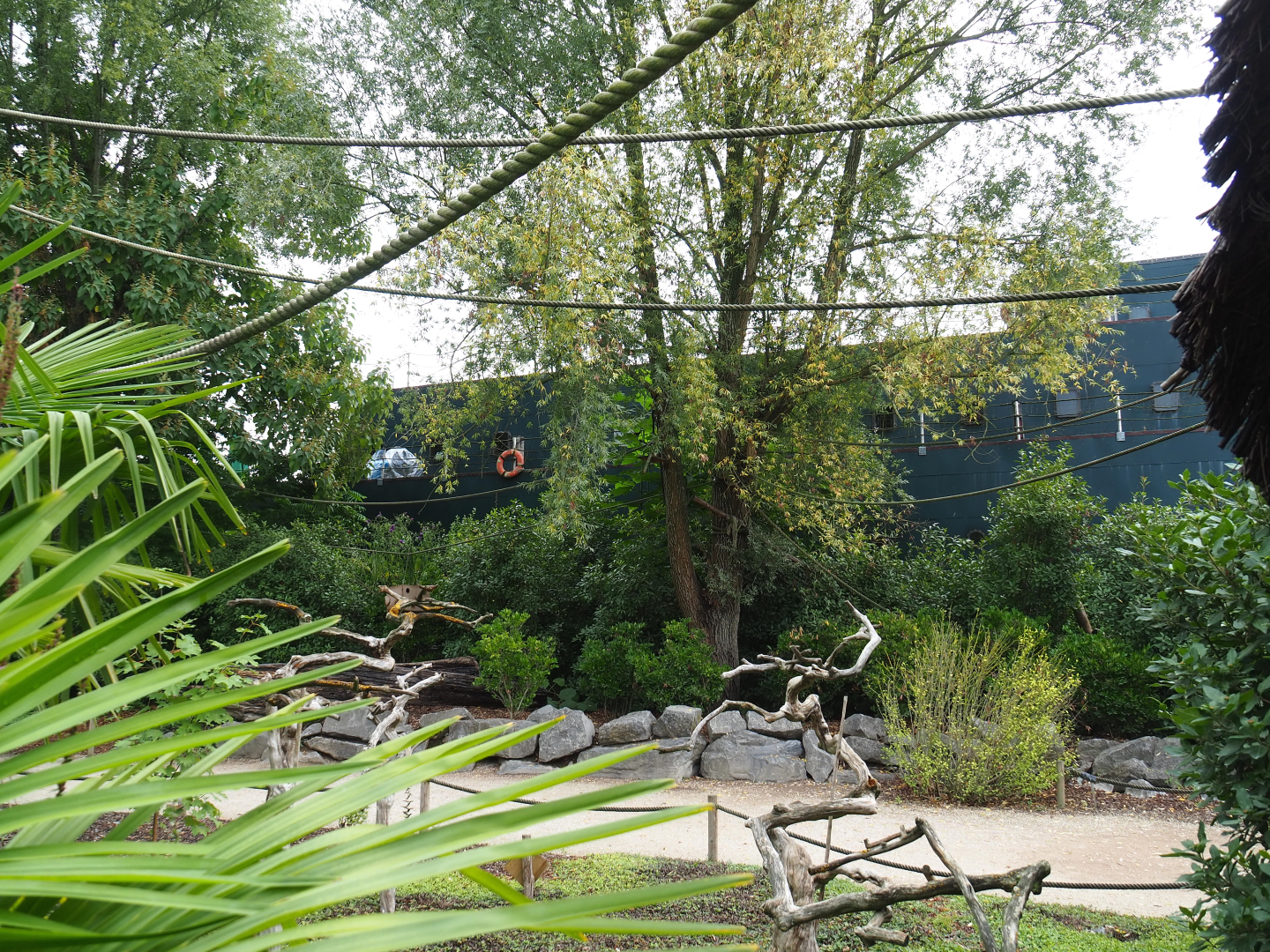 View on Black-and-gold howler monkey walk-through island, 2022-09-15