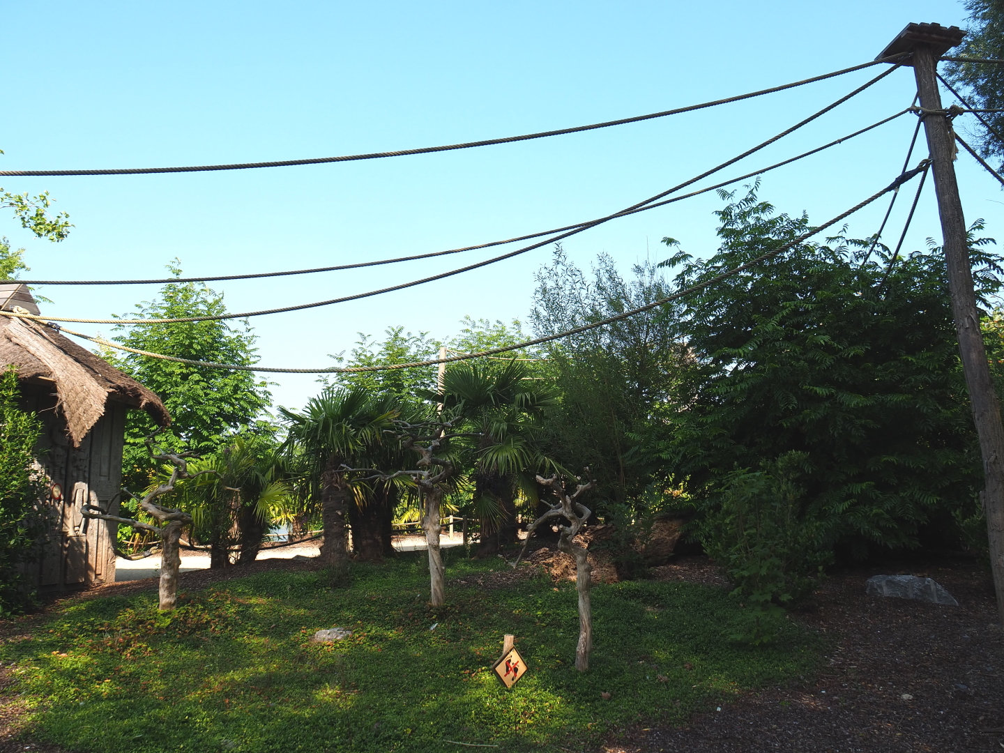 View on Black howler monkey island, 2021-09-02