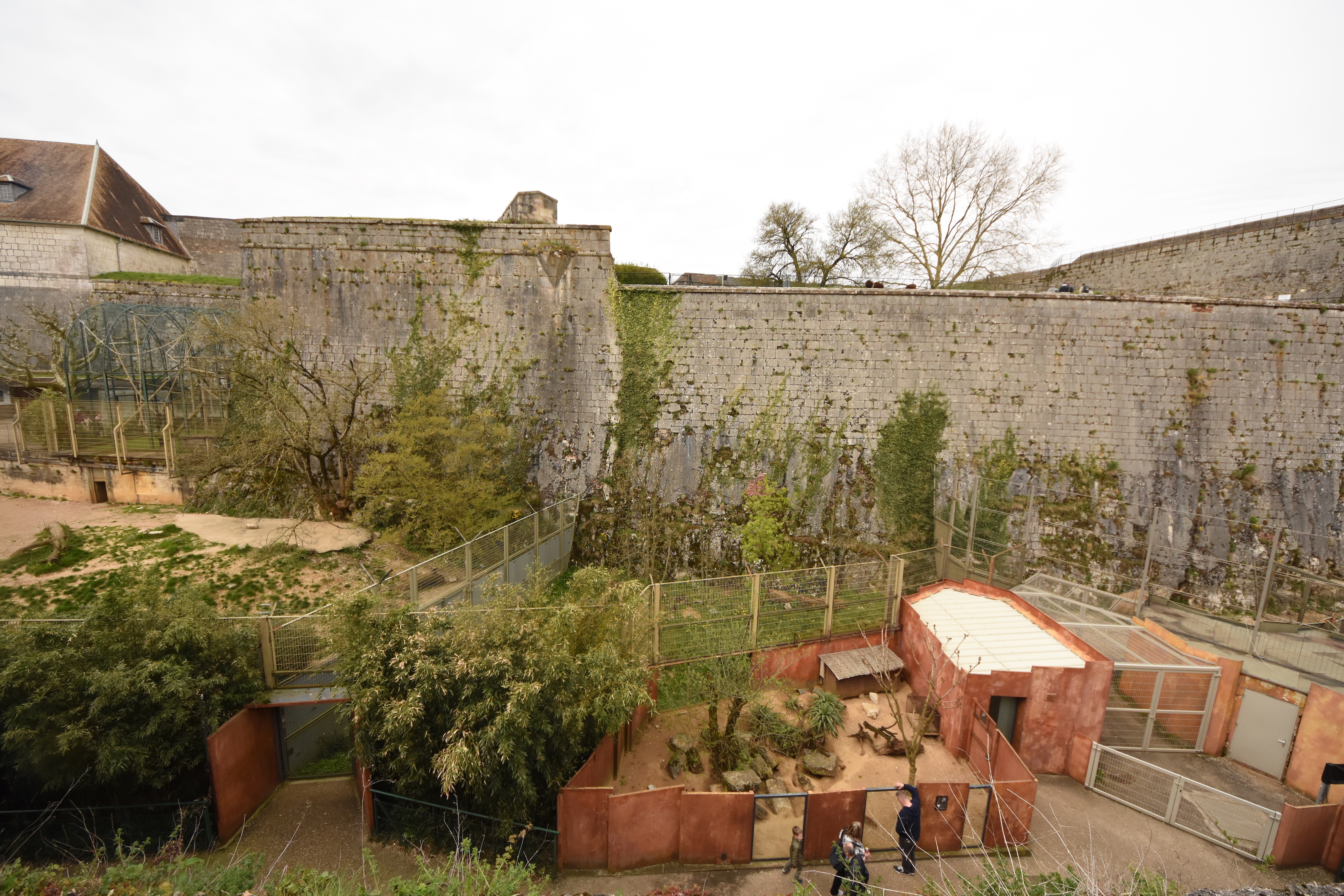 View on Carnivore enclosures