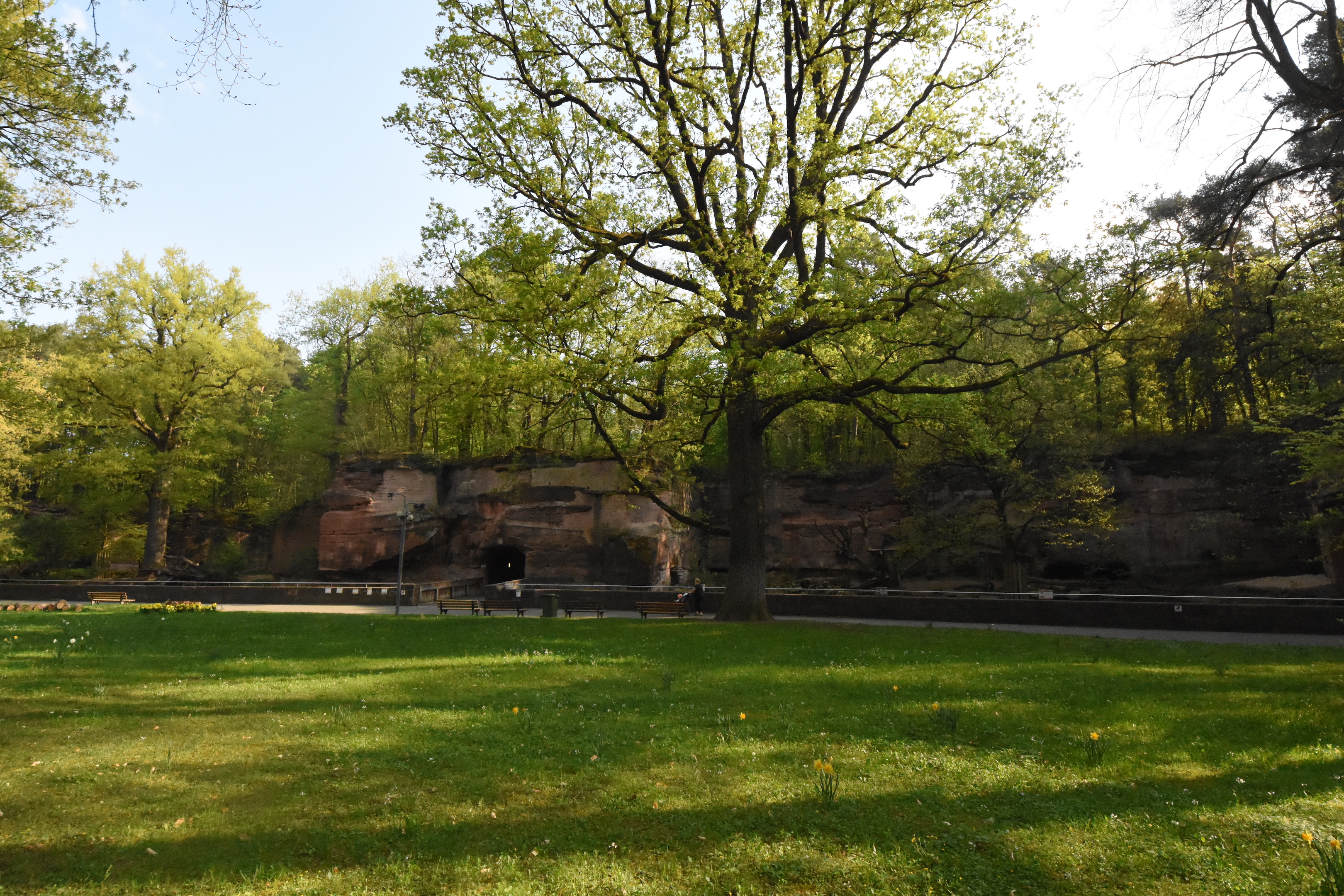 View on Cat enclosures