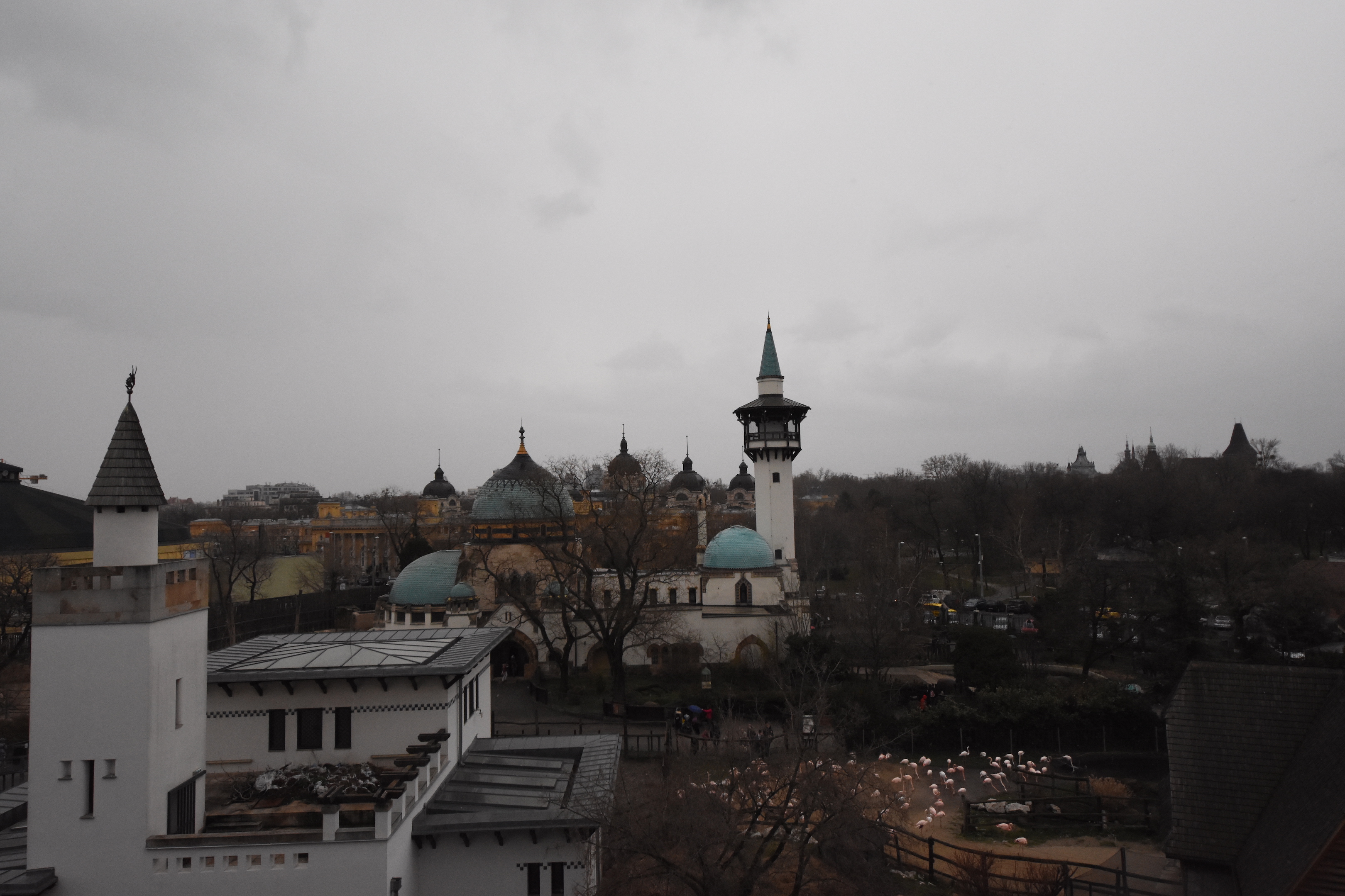 View on Elephant house