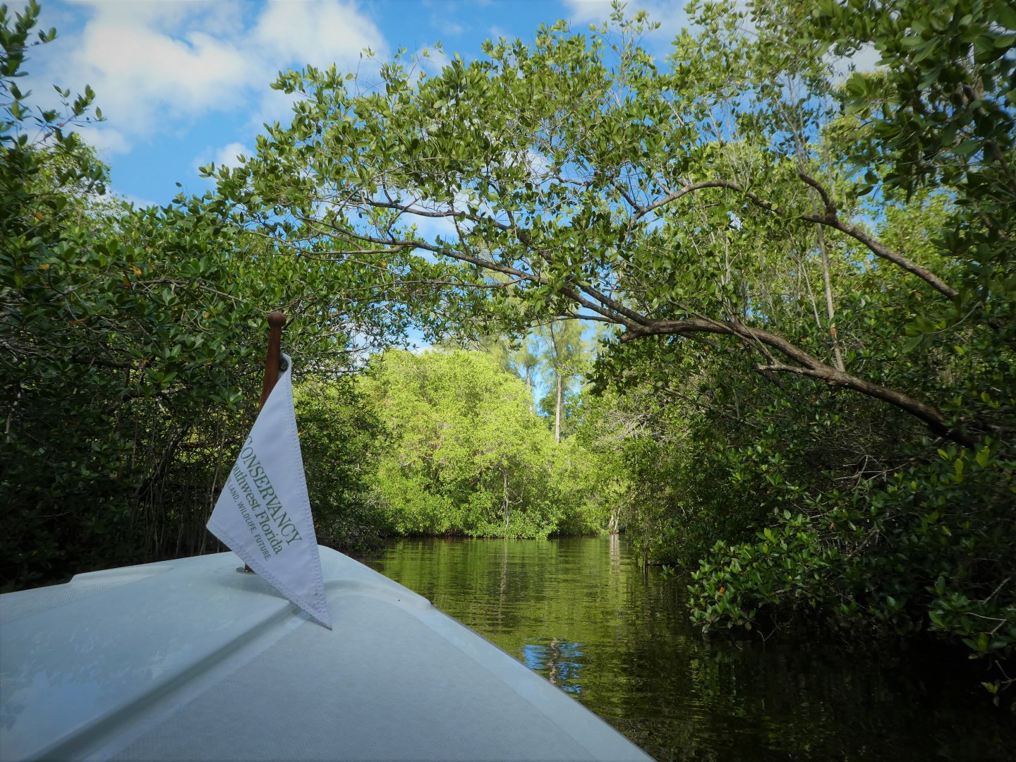 View on Gordon River
