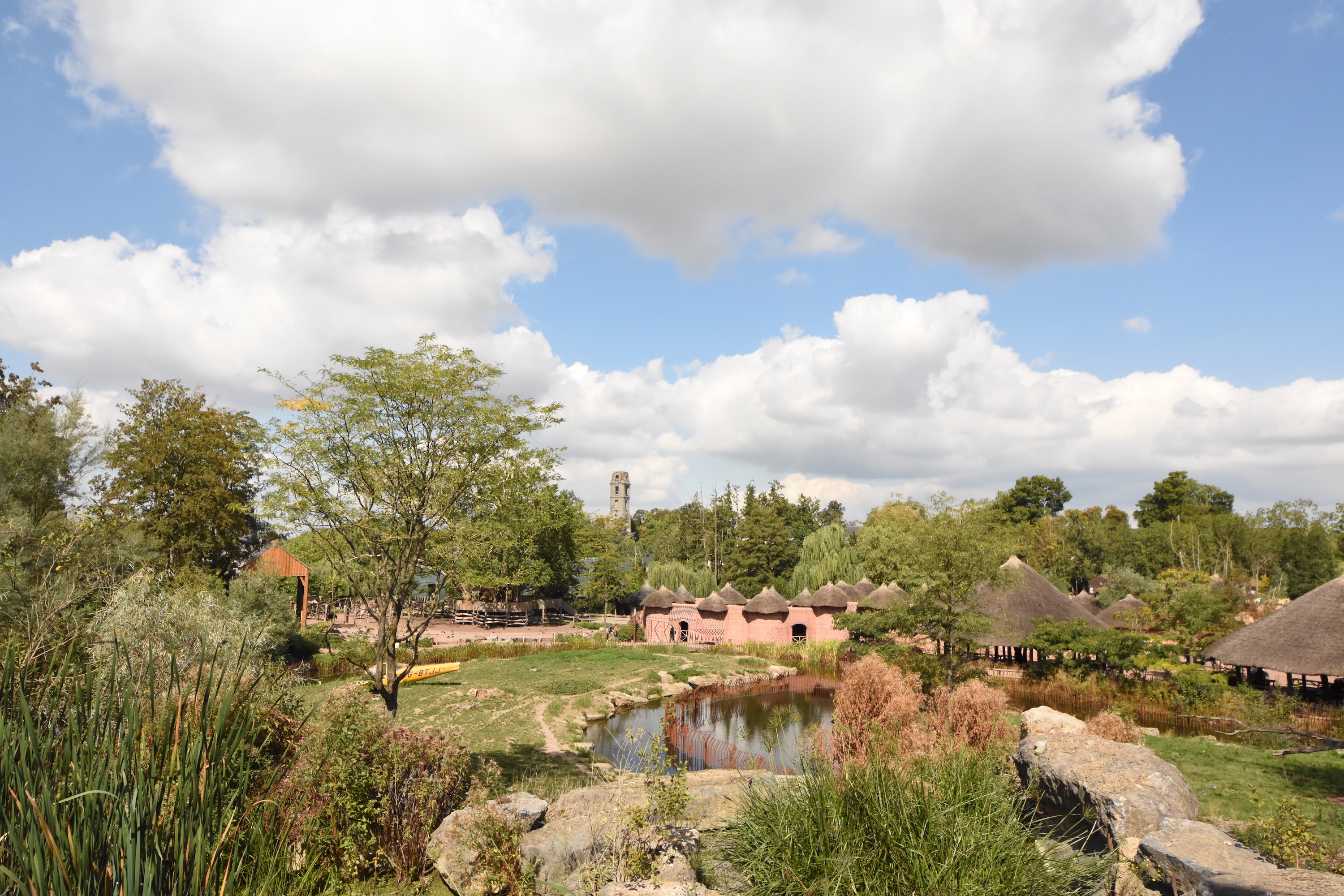 View on Hyena enclosure