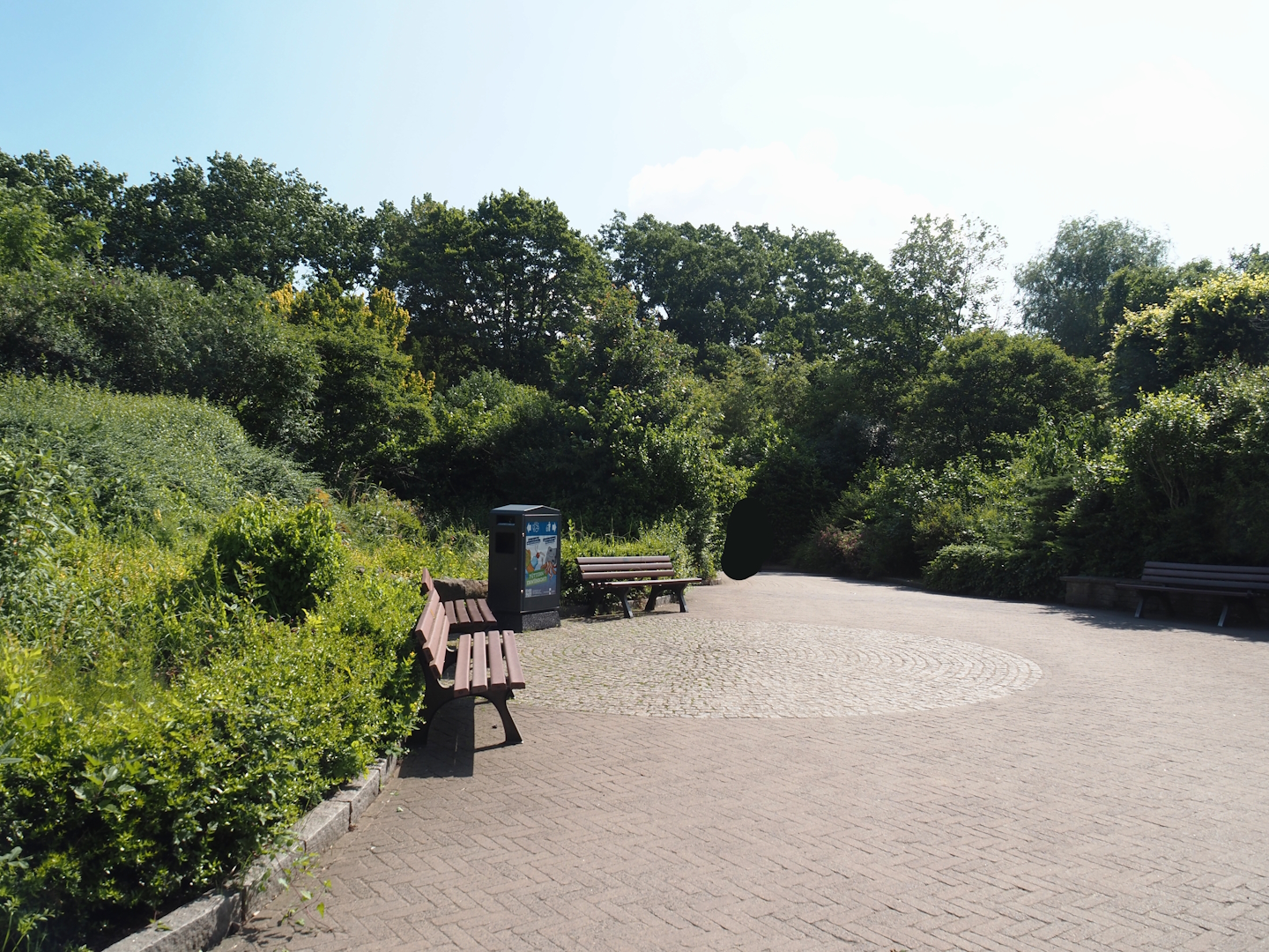 View on landscape bridge over railway and highway connecting the two parts of the zoo, 2024-06-08