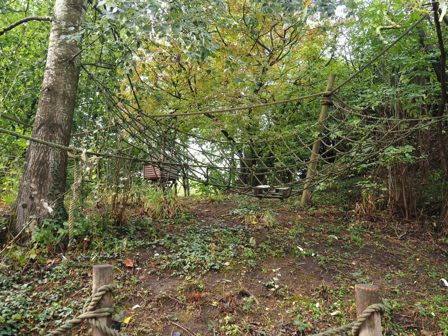 View on lemur island, 2022-09-15