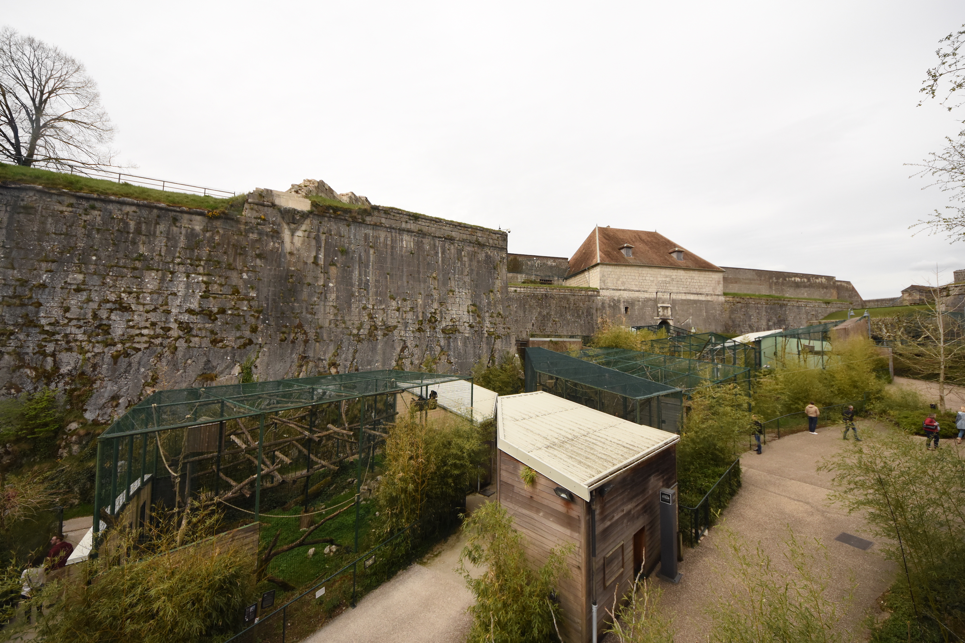 View on monkey cages