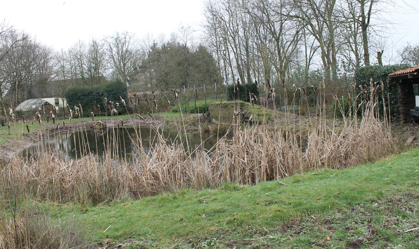 View on one of the ponds