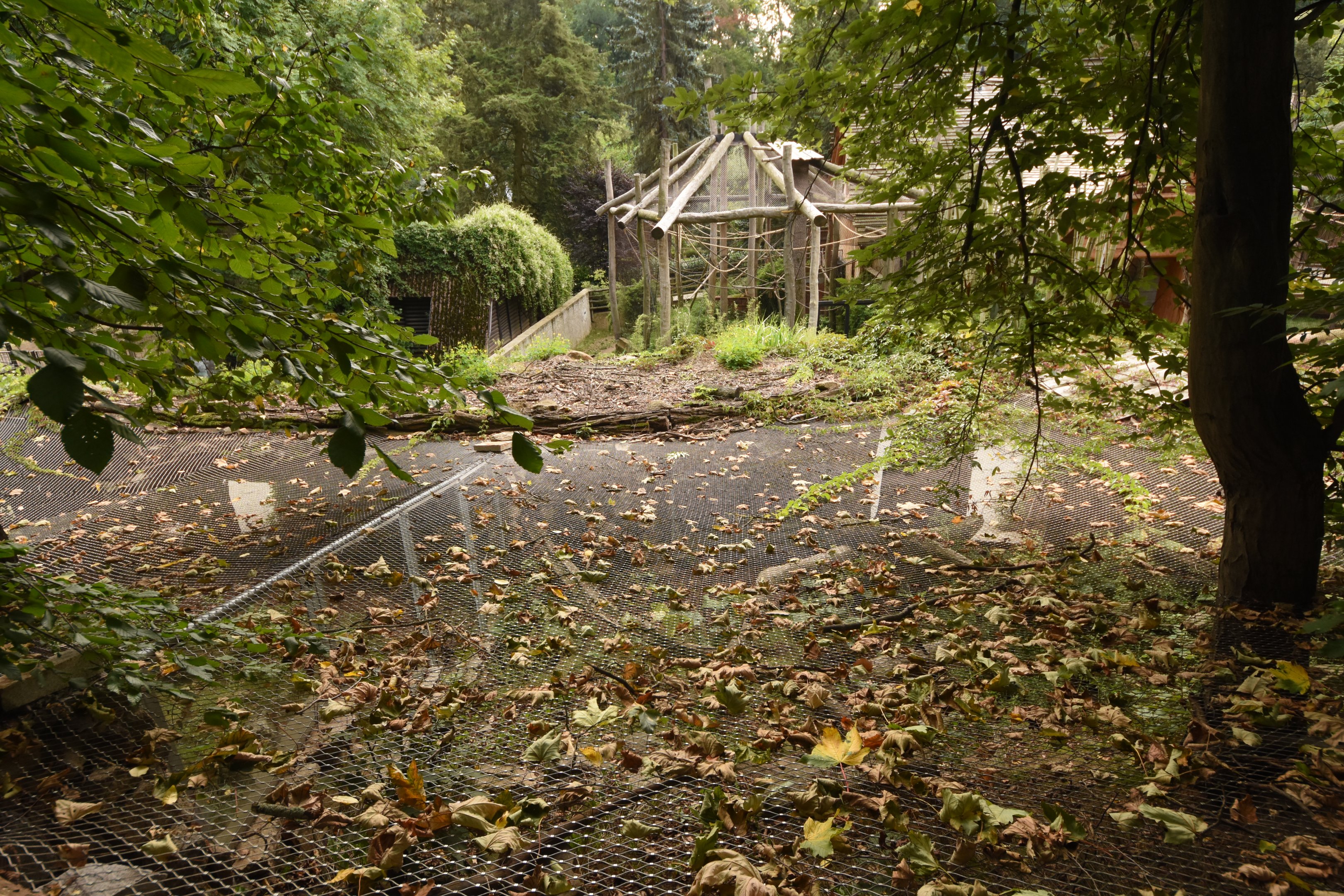 View on small cat enclosures and Gibbons