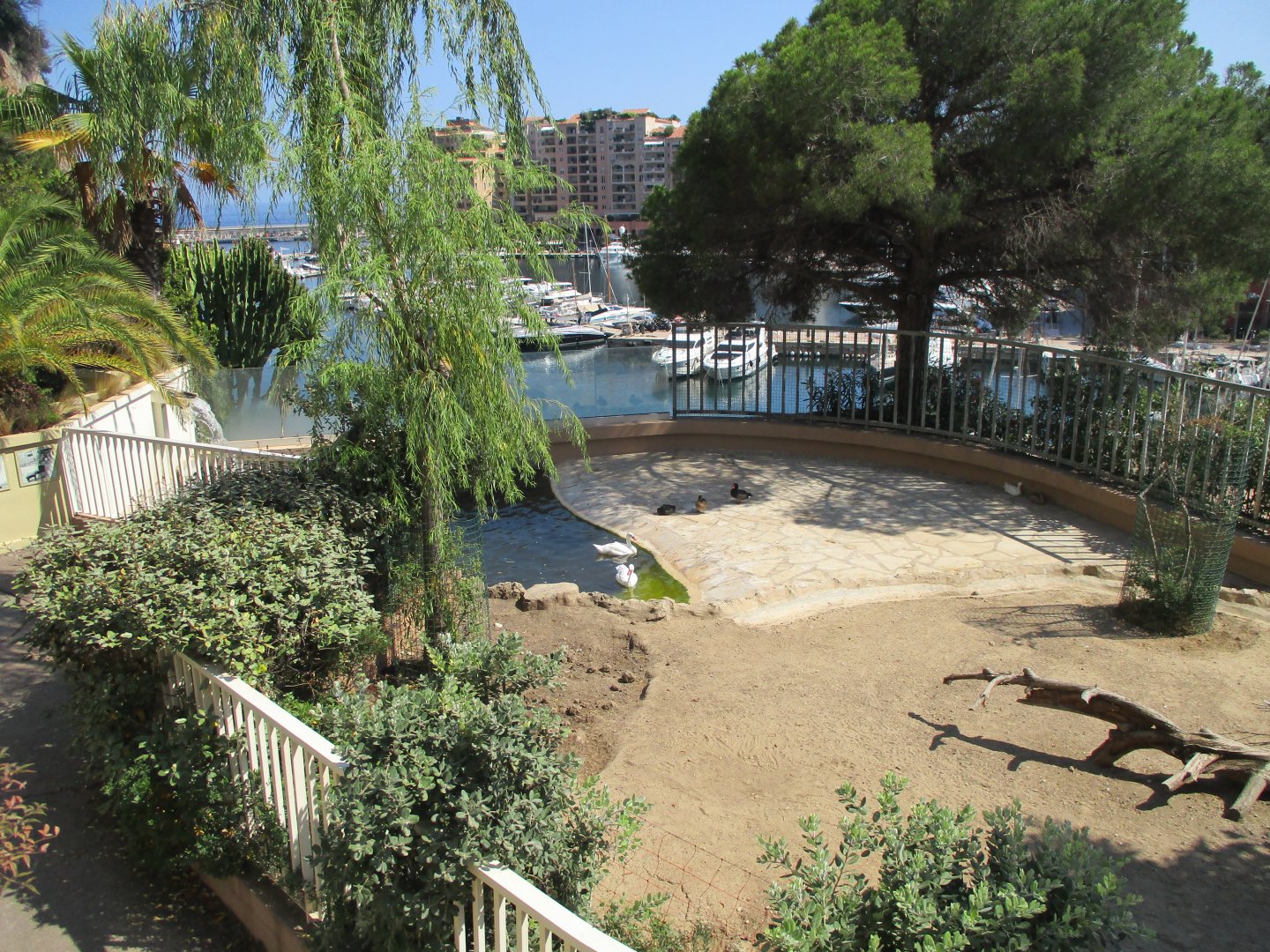 View on South American exhibit