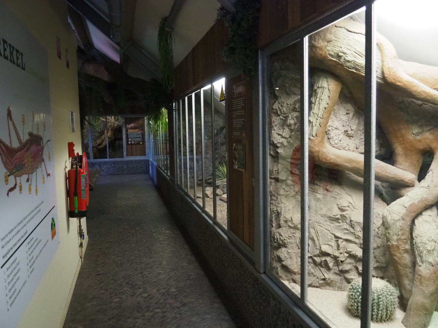 View on the critter attic, 2022-05-17