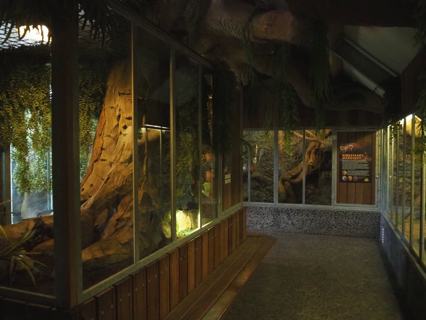 View on the critter attic, 2022-05-17