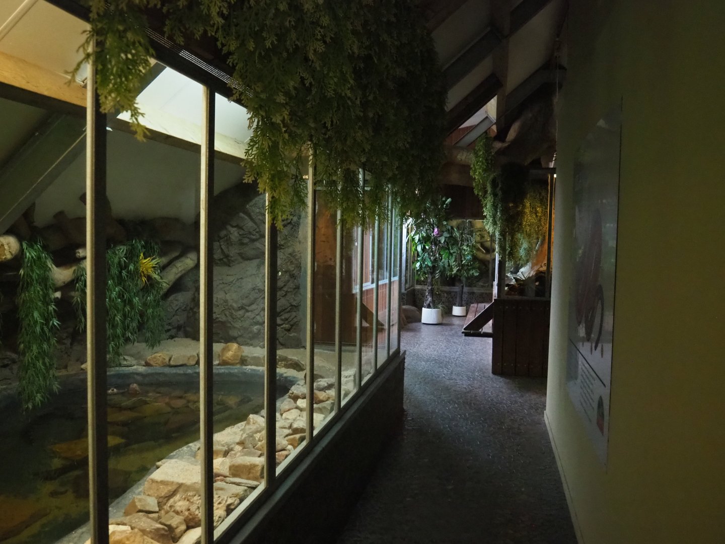 View on the critter attic, 2022-05-17