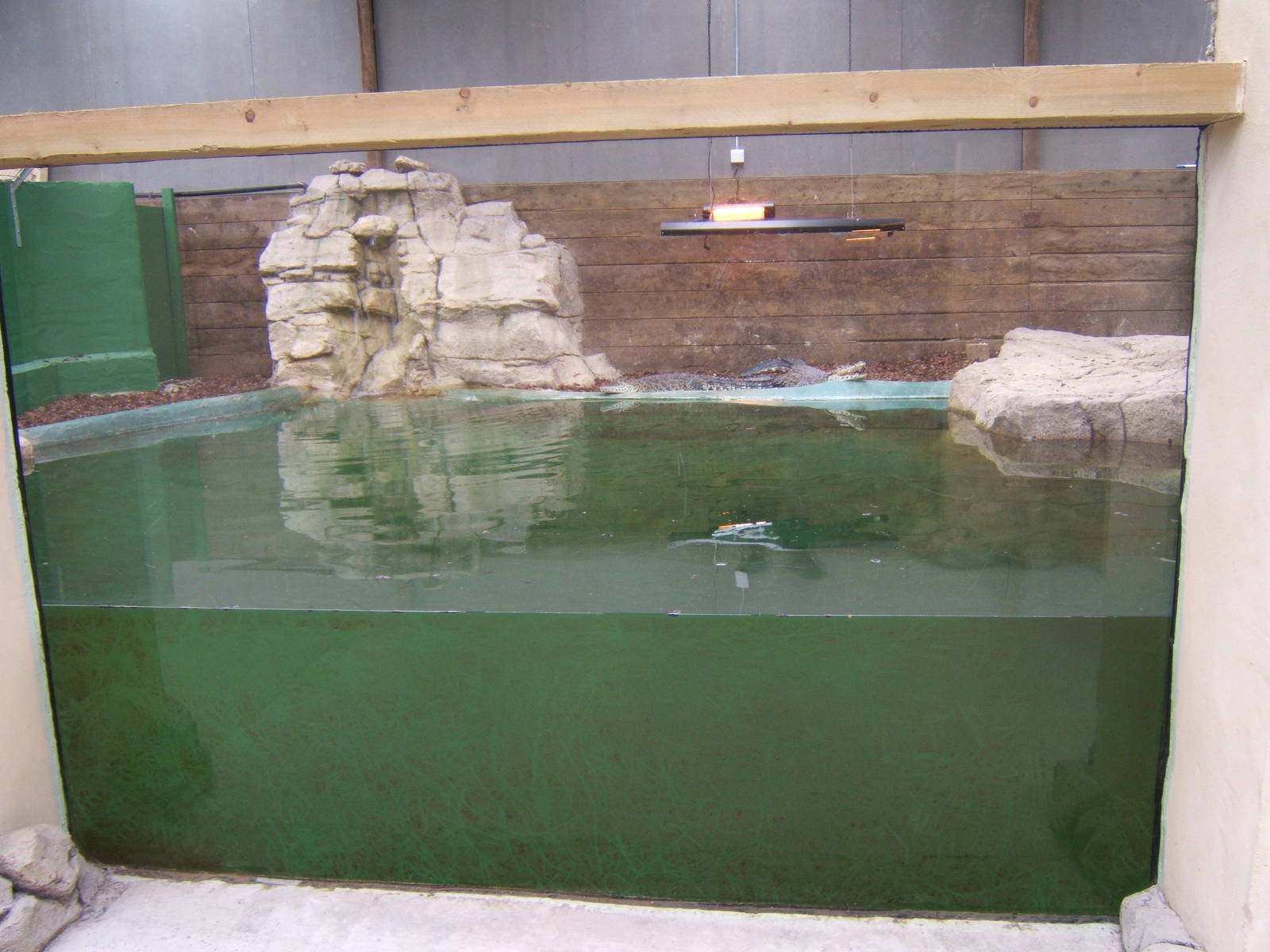 View on the Cuban Crocodile exhibit