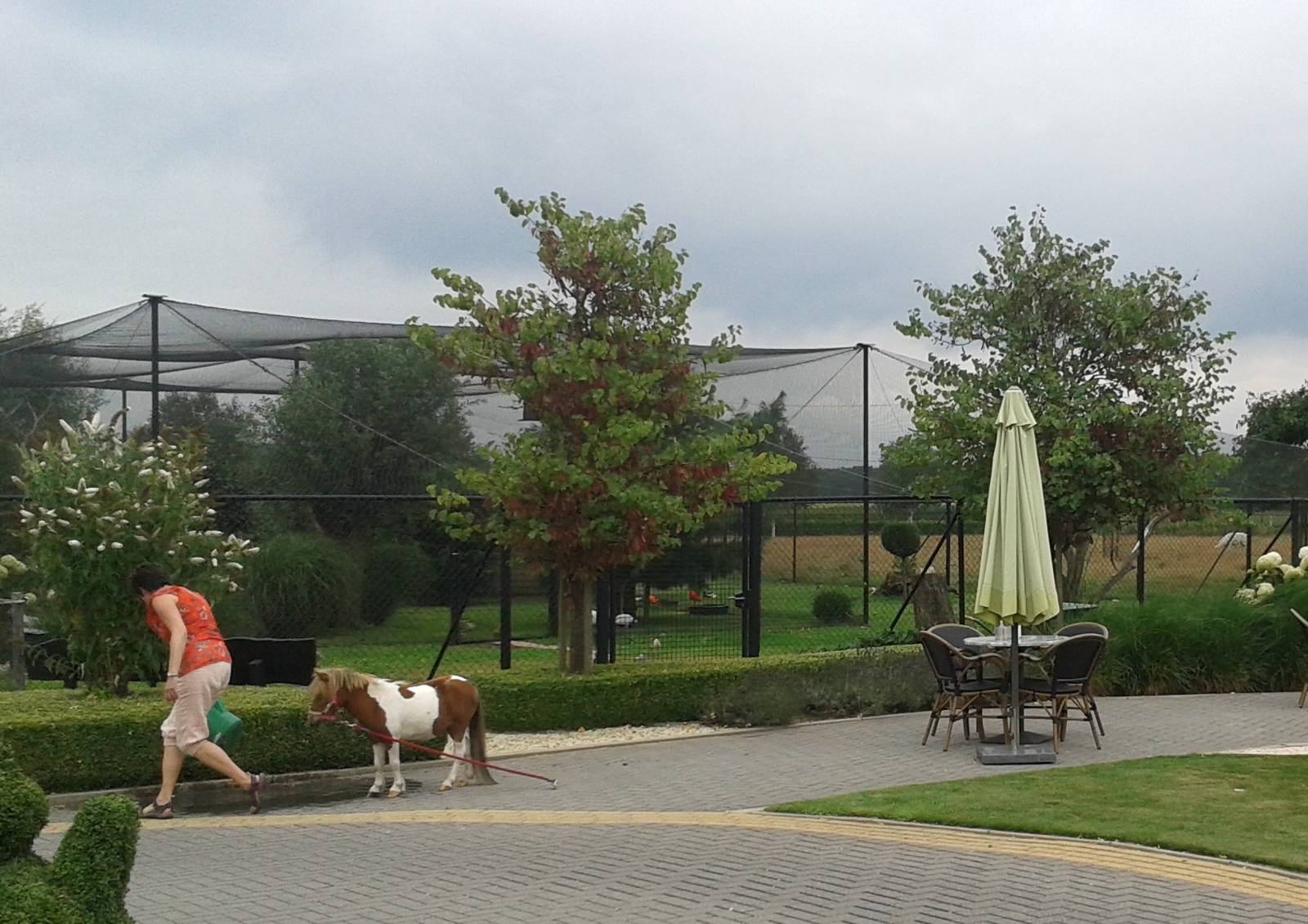 View on the large aviary