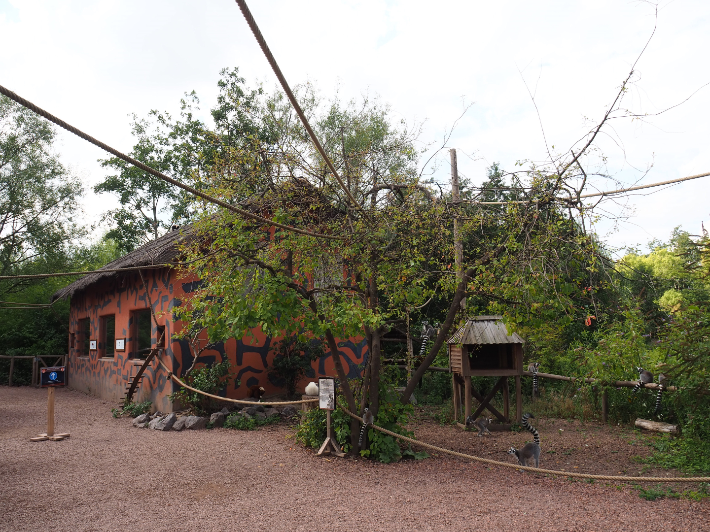 View on the lemur island, 2020-09-02