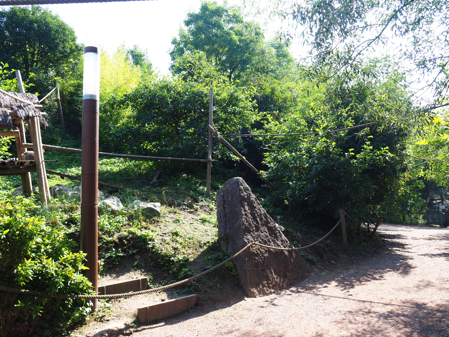 View on the lemur island, 2021-09-02