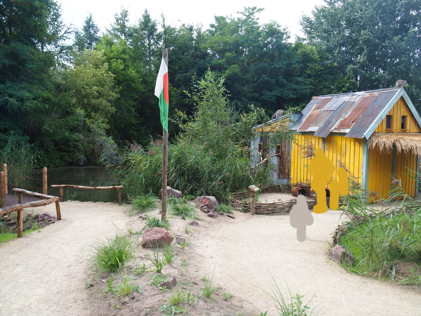 View on the new lemur island, 2019-08-11